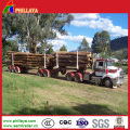 Transport Wood Double Axles Skeleton Log Trailer